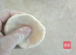 Illustration of how to make fancy dumplings 11