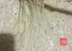 Illustration of how to make multigrain dough cakes (no kneading, no yeast) 3