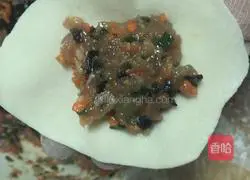 Illustration of Beef, Fungus and Carrot Dumplings 13