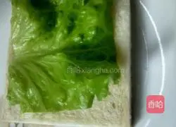 Illustration of how to make a simple sandwich 3