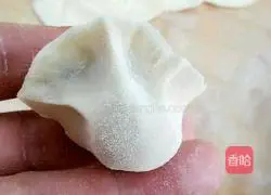 Illustration of how to make fennel dumplings 14