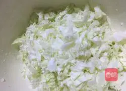 Cabbage and pork dumplings Practice illustration 2