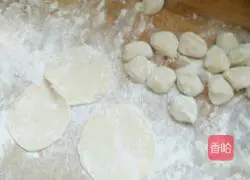 Illustration of how to make vegetarian dumplings 6