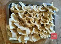 Wood fungus Illustration of how to make wontons 13