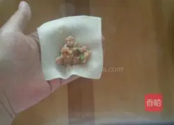 Mandarin Duck Illustration of how to make stuffed wontons 6