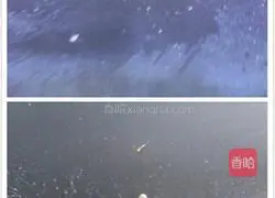 Illustration of how to make colorful fried rice 4