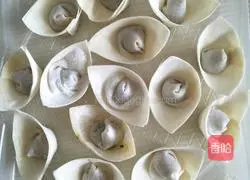 Illustration of how to make chicken stuffed wontons 5