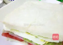 Illustration of making homemade sandwiches 9