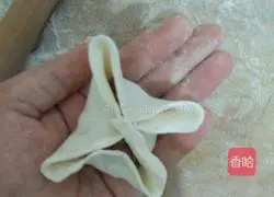 Illustration of how to make mandarin duck dumplings 5