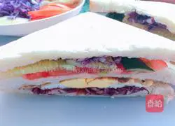 Sandwich Recipe Illustration 5