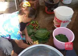 Illustration of how to make dumplings 2