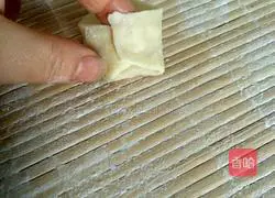 Illustration of how to make oyster mushroom and pork wontons 13