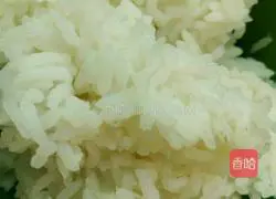 Soy Sauce Fried Rice Recipe Illustration 2