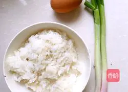 Illustration of how to make lazy golden fried rice 1