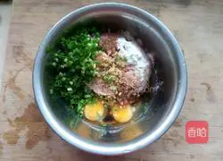 Illustration of homemade pork wontons 2