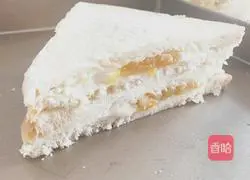 Yoghurt sandwich recipe 5
