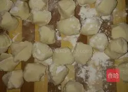 Illustration of home-style pork filling dumplings 4