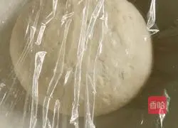 Hand-shredded scallion pancakes Illustration of how to do it 2