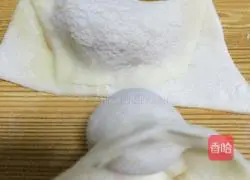 Illustration of how to make wontons 4