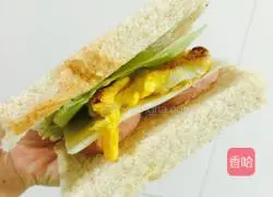 Super ordinary sandwich recipe 2