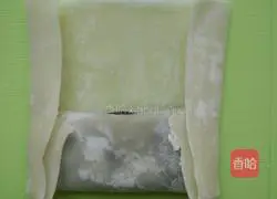 Wonton wrapper spring rolls Illustration of how to do it 5