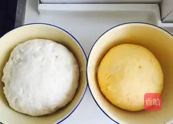 Illustration of how to make red date and pumpkin steamed buns 4