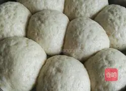 Illustration of how to make bean dregs steamed buns 8