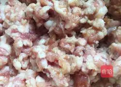 fennel Pork wonton recipe illustration 1