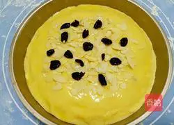 Blueberry Almond Muffins Recipe Illustration 12