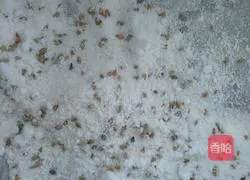 Illustration of how to make shortbread 8