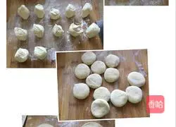 Winter Melon and Pork Dumplings Recipe Illustration 5