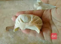 Pork and chive dumplings illustration 11