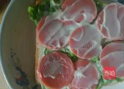 Illustration of how to make a sandwich 4