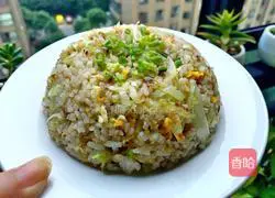 Illustration of how to make cabbage fried rice 8