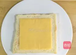 Sandwich Recipe Illustration 11