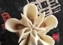 [Plum Blossom Dumpling] Recipe 10