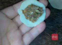 Pork and green onion dumplings recipe 8