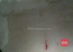 Illustration of how to make mutton and radish dumplings 2