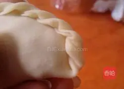 Illustration of how to make dumplings 4