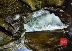 Illustration of how to make dumplings 4