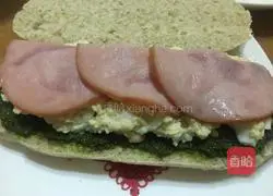 Green Egg and Ham Sandwich Recipe Illustration 7