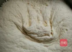 Illustration of how to make celery and pork buns 3