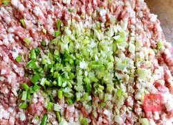 Illustration of making dumplings 5