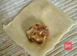 Illustration of how to make oyster mushroom and pork wontons 10