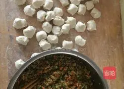 Illustration of how to make vegetarian dumplings 5