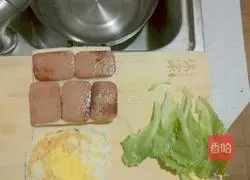 Illustration of how to make a sandwich 5