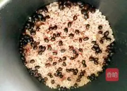 Black beans and rice Illustration of how to do it 8