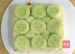 Sandwich Recipe Illustration 15