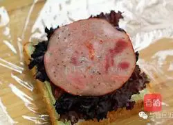 Variety of sandwich recipes 5