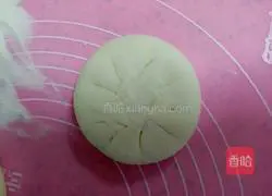 Pork Onion Pie Recipe Illustration 10